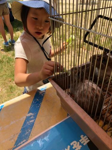 移動動物園