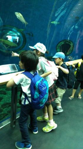 琵琶湖博物館